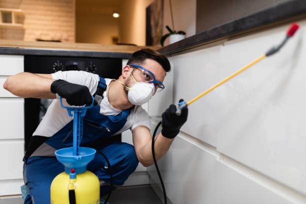 Best Best Pest Control Companies  in Incline Village, NV