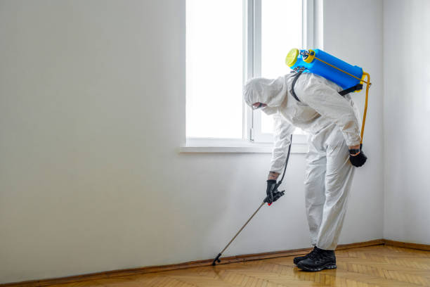 Best Pest Prevention Services  in Incline Village, NV