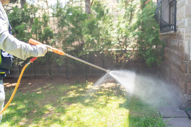 Best Commercial Pest Control Services  in Incline Village, NV