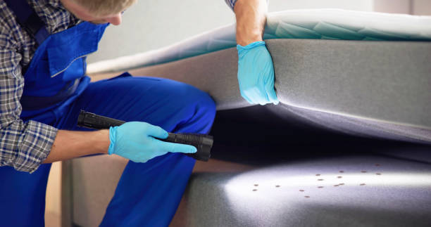 Best Residential Pest Control  in Incline Village, NV